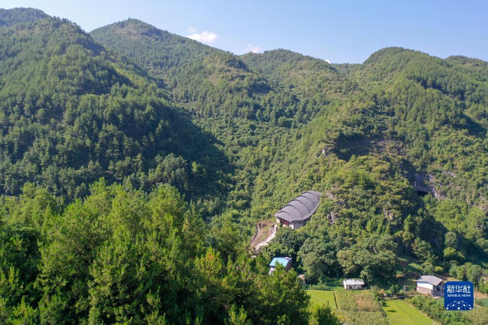 什么是手机水果机